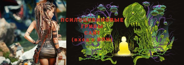 индика Алексеевка